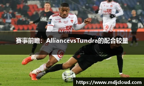 赛事前瞻：AlliancevsTundra的配合较量